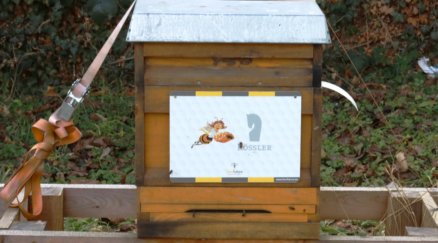 Bienenpatenschaft mit beefuture