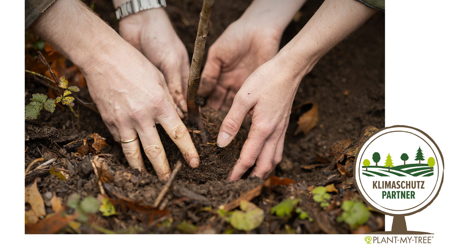 Klima- und Waldschutz mit PLANT-MY-TREE®