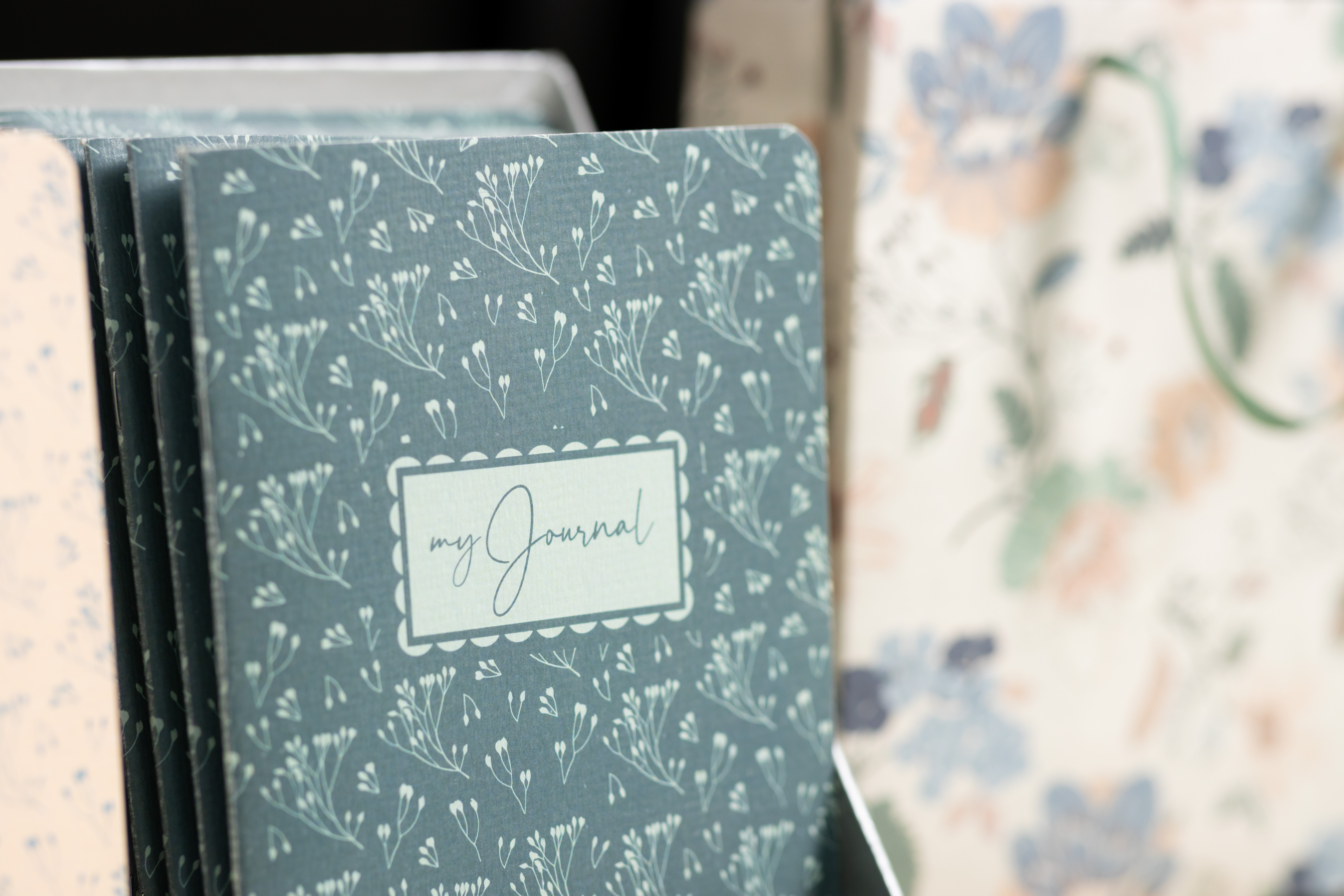 eliza_Emma_nochmal-zwischen-Text