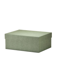Box L, Salbei-Grün