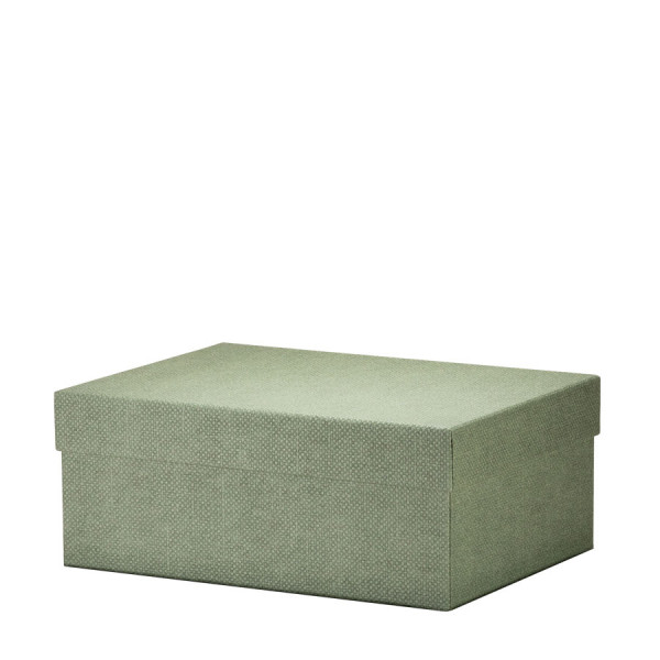 Box L, Salbei-Grün